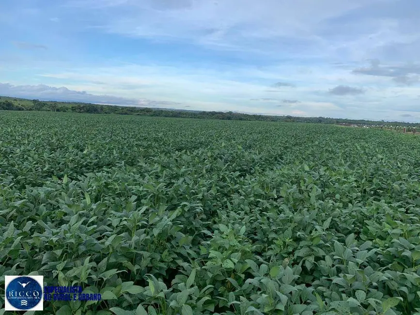 Foto 5 de Fazenda / Haras com 4 quartos à venda, 100m2 em Sao Miguel Do Araguaia - GO