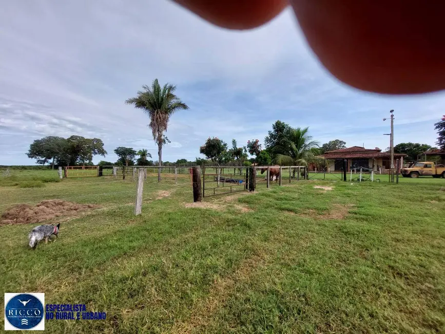 Foto 3 de Fazenda / Haras à venda, 282m2 em Cocalinho - MT