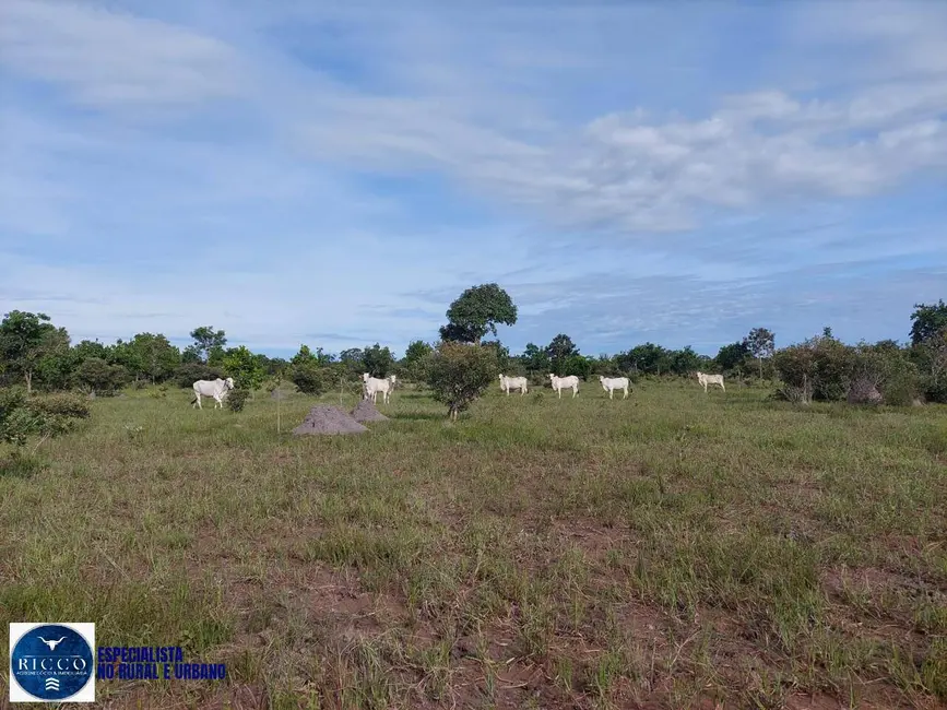 Foto 9 de Fazenda / Haras à venda, 282m2 em Cocalinho - MT