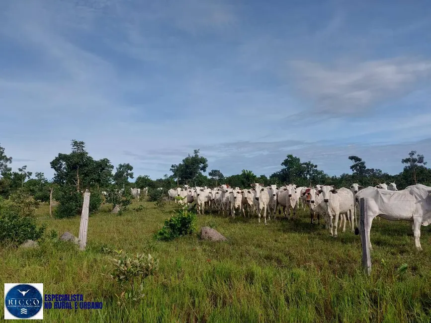 Foto 8 de Fazenda / Haras à venda, 282m2 em Cocalinho - MT