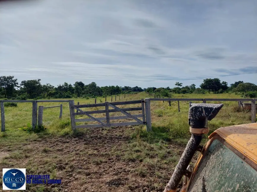 Foto 6 de Fazenda / Haras à venda, 282m2 em Cocalinho - MT