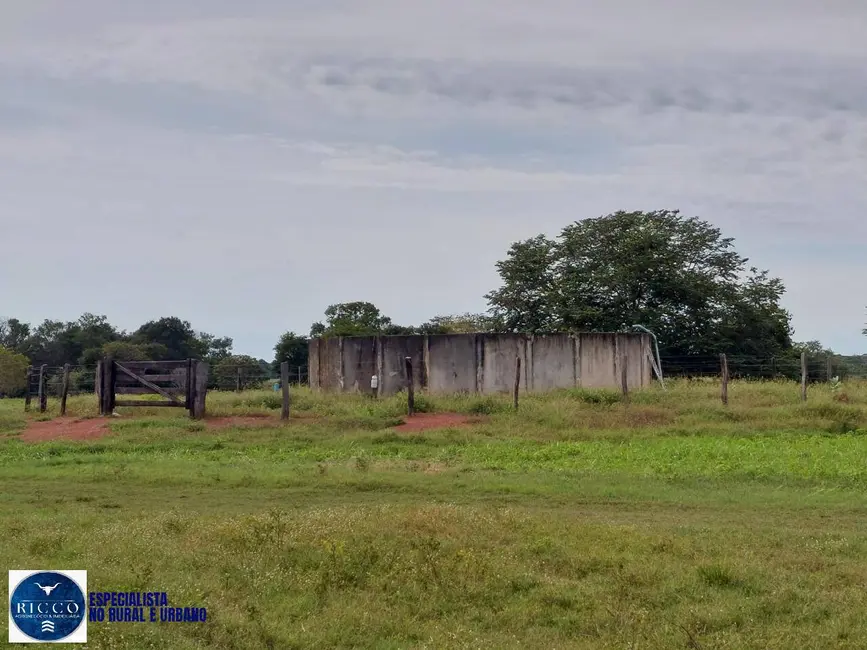 Foto 5 de Fazenda / Haras à venda, 282m2 em Cocalinho - MT