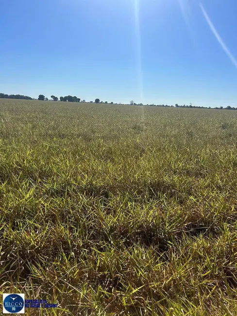 Foto 1 de Fazenda / Haras à venda, 175m2 em Barra Do Garcas - MT