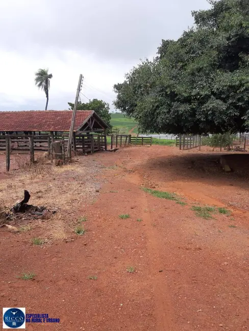 Foto 3 de Fazenda / Haras à venda, 105m2 em Palmeiras De Goias - GO