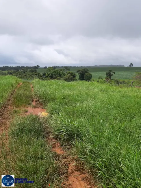 Foto 2 de Fazenda / Haras à venda, 105m2 em Palmeiras De Goias - GO
