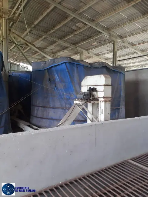 Foto 8 de Fazenda / Haras à venda, 105m2 em Palmeiras De Goias - GO