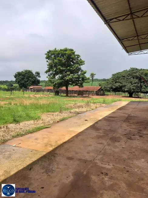 Foto 4 de Fazenda / Haras à venda, 105m2 em Palmeiras De Goias - GO