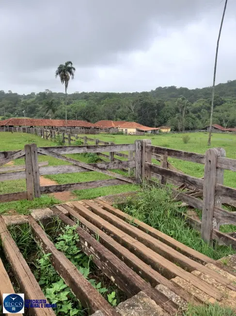 Foto 2 de Fazenda / Haras à venda, 246m2 em Anicuns - GO