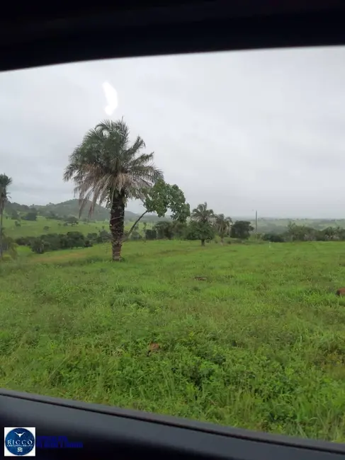 Foto 1 de Fazenda / Haras à venda, 246m2 em Anicuns - GO