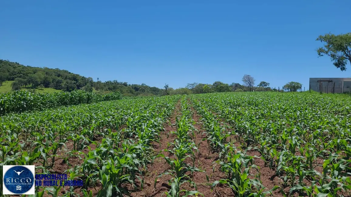 Foto 4 de Chácara com 3 quartos à venda, 21748m2 em Neropolis - GO
