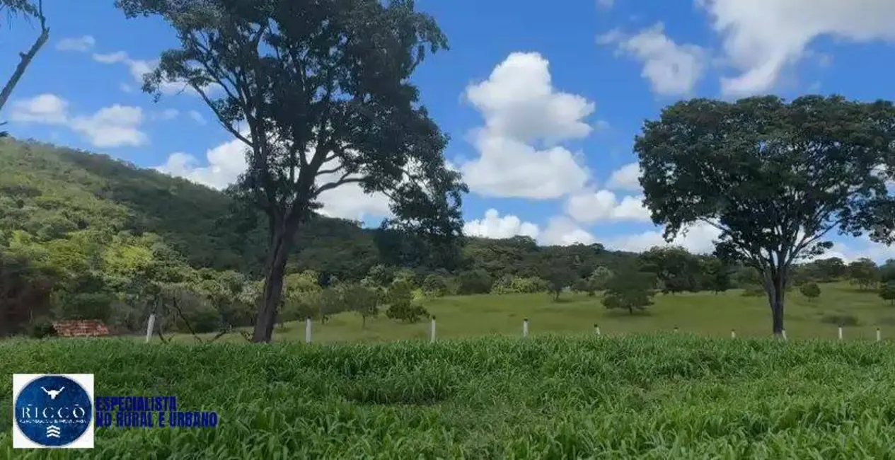 Foto 5 de Fazenda / Haras à venda, 65m2 em Caldas Novas - GO