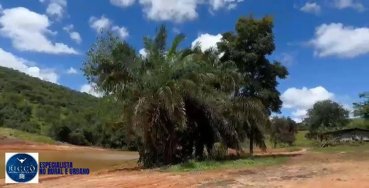 Foto 6 de Fazenda / Haras à venda, 65m2 em Caldas Novas - GO