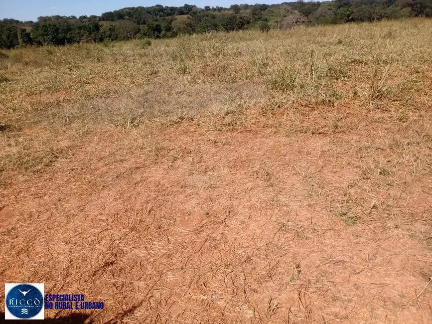 Foto 5 de Fazenda / Haras com 2 quartos à venda, 76m2 em Arenopolis - GO