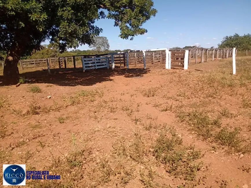 Foto 4 de Fazenda / Haras com 2 quartos à venda, 76m2 em Arenopolis - GO