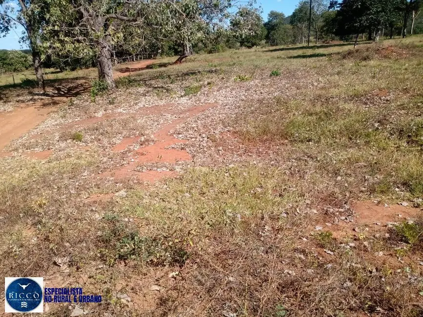 Foto 7 de Fazenda / Haras com 2 quartos à venda, 76m2 em Arenopolis - GO