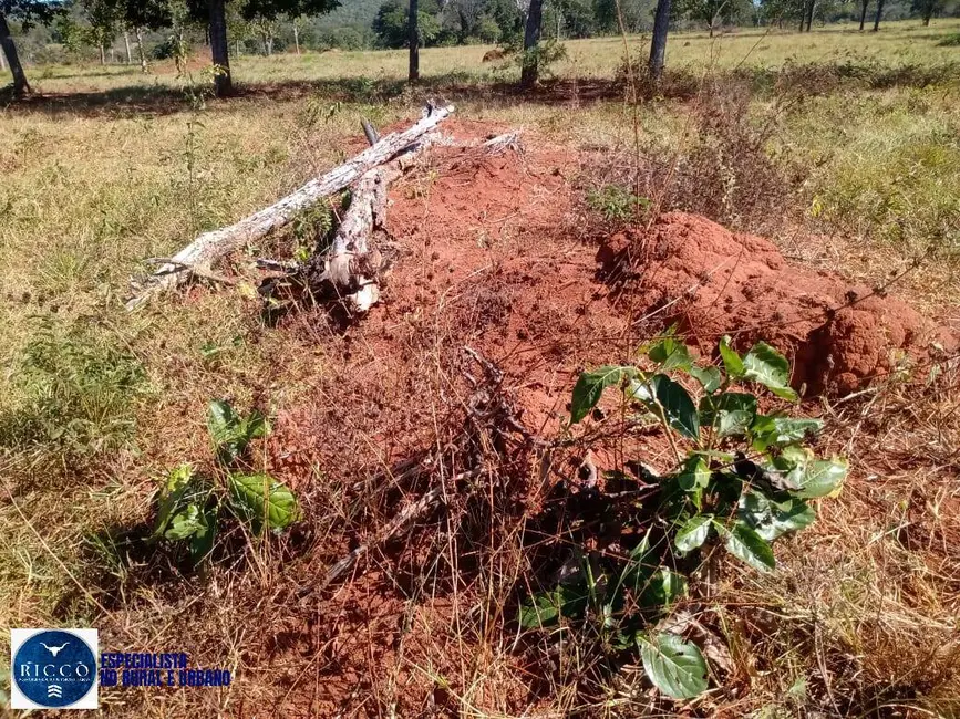 Foto 3 de Fazenda / Haras com 2 quartos à venda, 76m2 em Arenopolis - GO