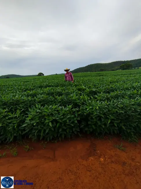 Foto 5 de Fazenda / Haras à venda, 83m2 em Jaupaci - GO