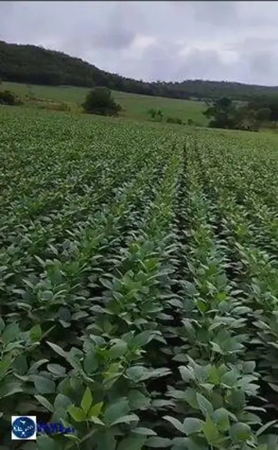 Foto 2 de Fazenda / Haras à venda, 83m2 em Jaupaci - GO