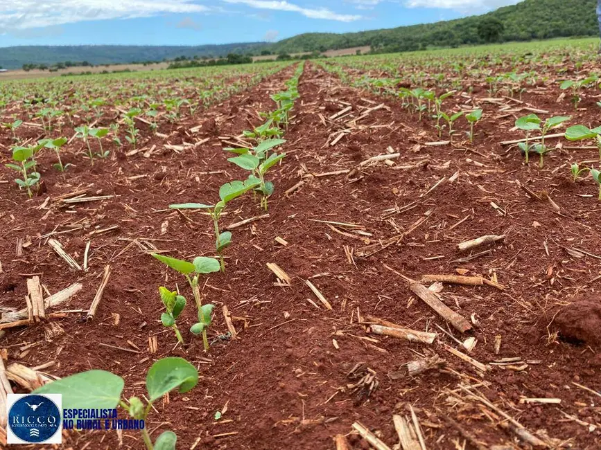 Foto 1 de Fazenda / Haras à venda, 83m2 em Jaupaci - GO