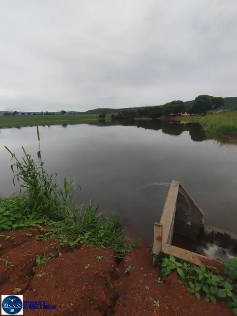 Foto 7 de Fazenda / Haras à venda, 83m2 em Jaupaci - GO