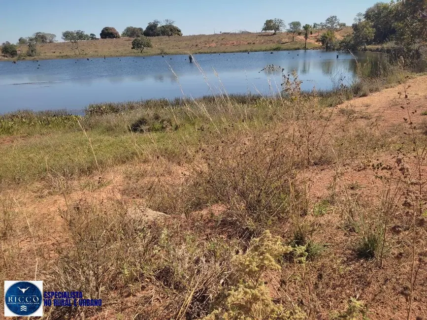 Foto 6 de Fazenda / Haras com 2 quartos à venda, 44m2 em Montes Claros De Goias - GO