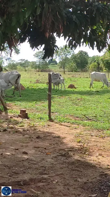 Foto 4 de Fazenda / Haras com 2 quartos à venda, 44m2 em Montes Claros De Goias - GO