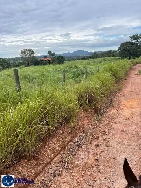 Fazenda / Haras à venda, 107m2 em Ipora - GO - imagem 7 Foto 7 de Fazenda / Haras à venda, 107m2 em Ipora - GO