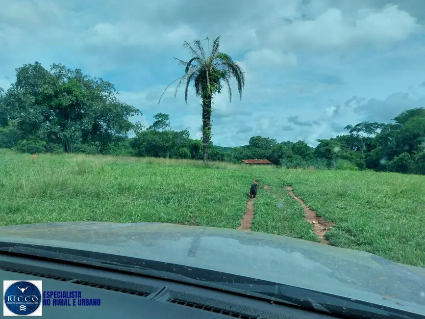 Fazenda / Haras com 3 quartos à venda, 107m2 em Ipora - GO - imagem 7 Foto 7 de Fazenda / Haras com 3 quartos à venda, 107m2 em Ipora - GO