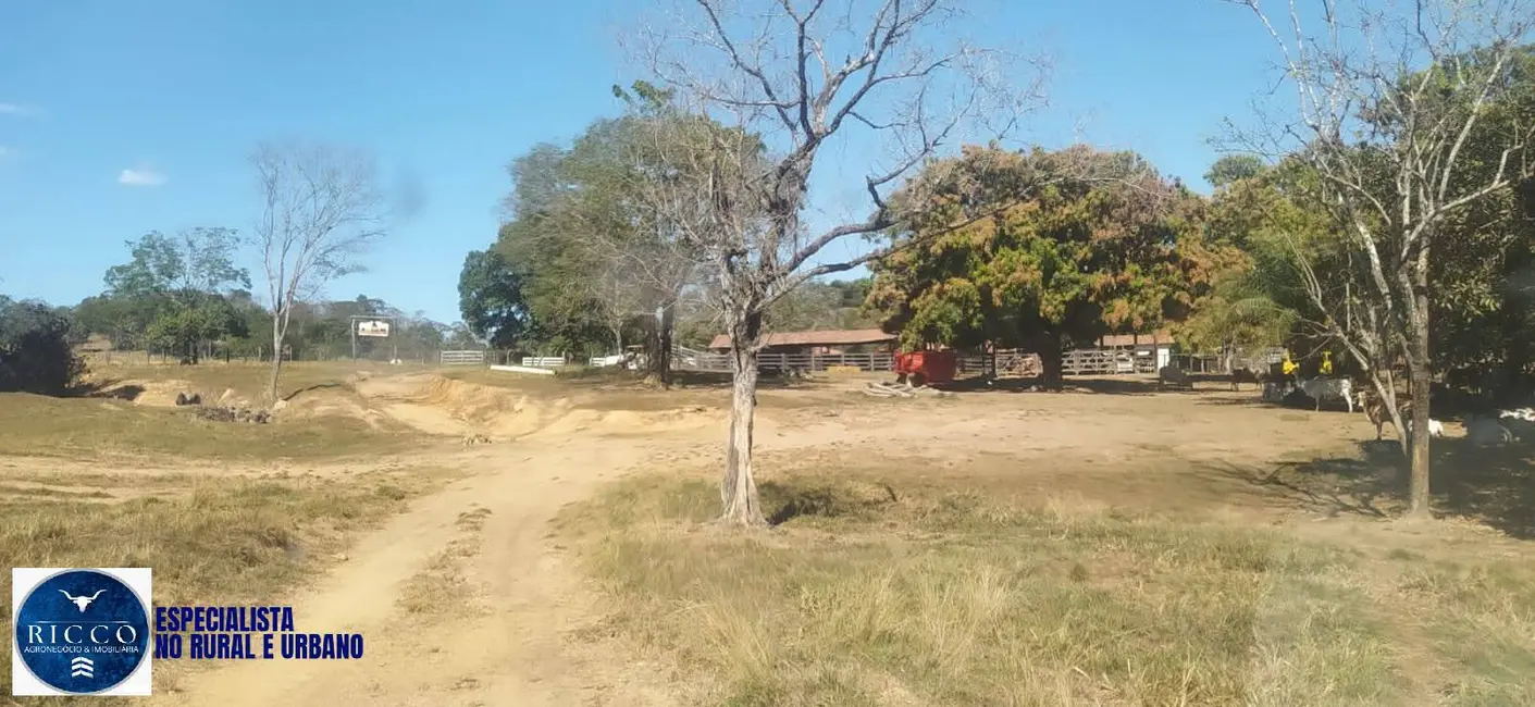 Fazenda / Haras com 3 quartos à venda, 107m2 em Ipora - GO - imagem 5 Foto 5 de Fazenda / Haras com 3 quartos à venda, 107m2 em Ipora - GO