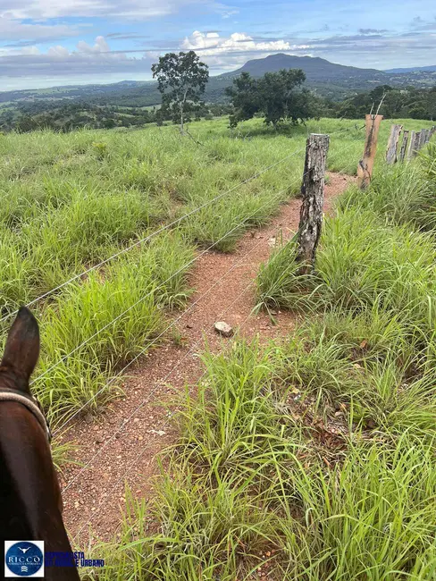 Fazenda / Haras à venda, 107m2 em Ipora - GO - imagem 8 Foto 8 de Fazenda / Haras à venda, 107m2 em Ipora - GO