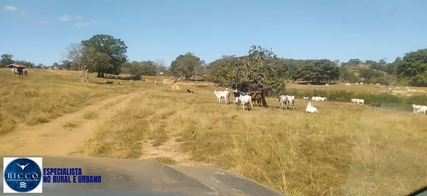 Fazenda / Haras com 3 quartos à venda, 107m2 em Ipora - GO - imagem 9 Foto 9 de Fazenda / Haras com 3 quartos à venda, 107m2 em Ipora - GO
