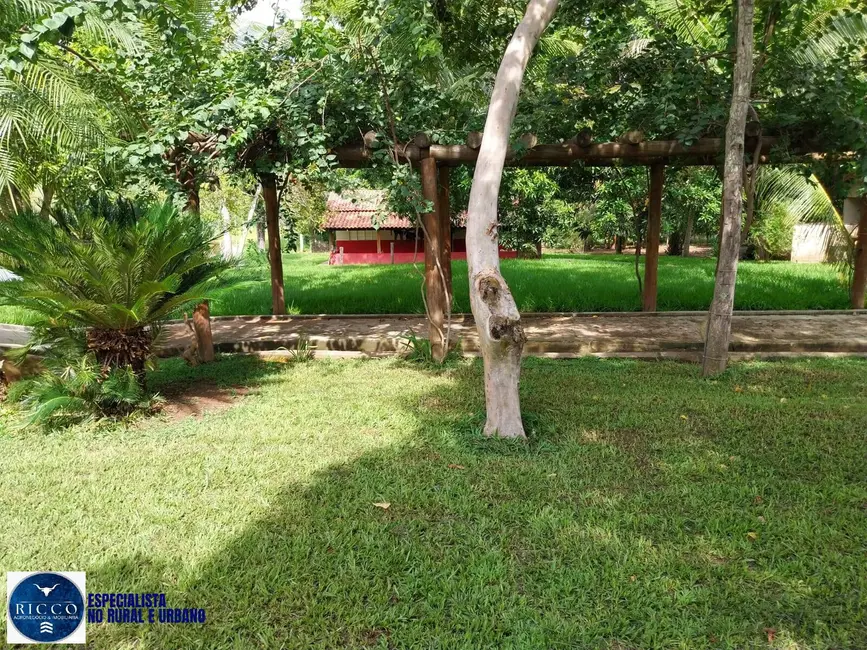 Fazenda / Haras com 3 quartos à venda, 107m2 em Ipora - GO - imagem 6 Foto 6 de Fazenda / Haras com 3 quartos à venda, 107m2 em Ipora - GO