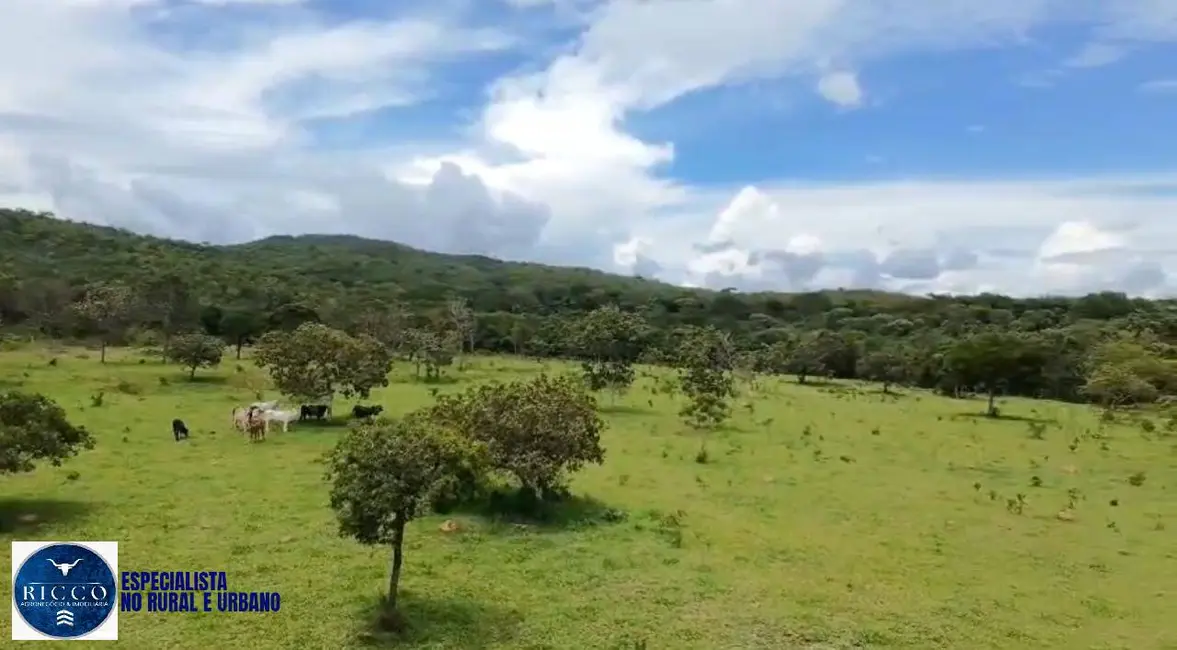 Foto 3 de Chácara à venda em Pirenopolis - GO