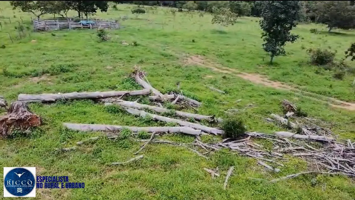 Foto 7 de Chácara à venda em Pirenopolis - GO