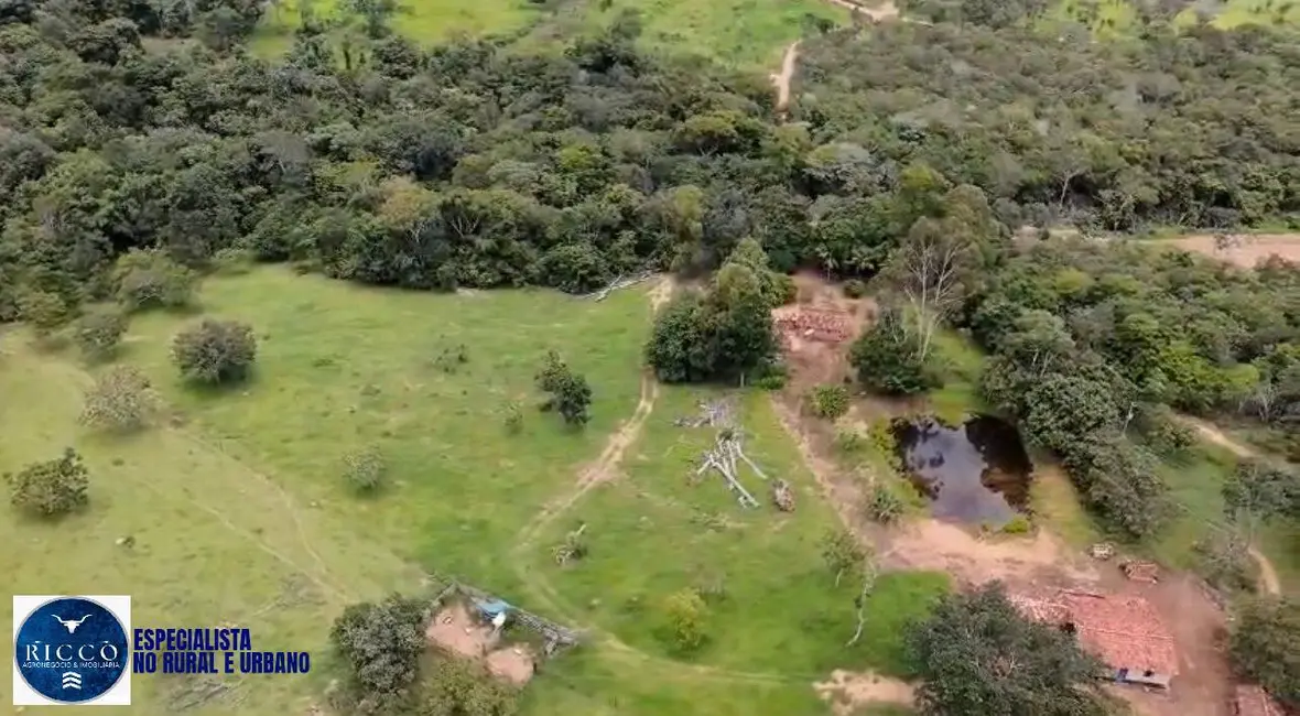 Foto 10 de Chácara à venda em Pirenopolis - GO