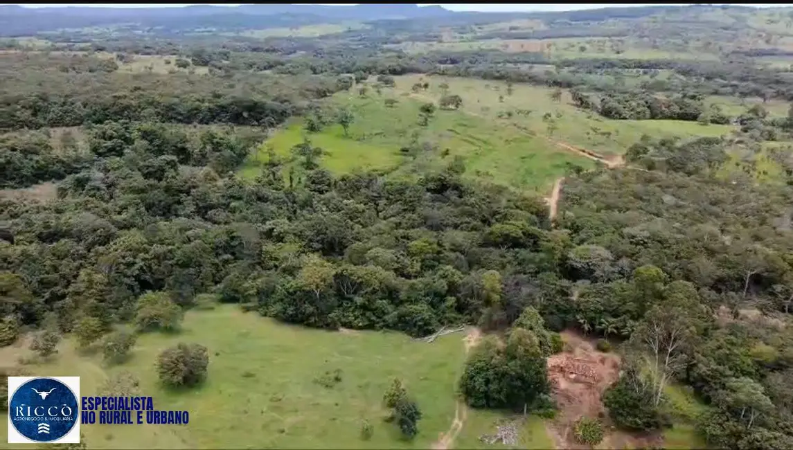 Foto 8 de Chácara à venda em Pirenopolis - GO
