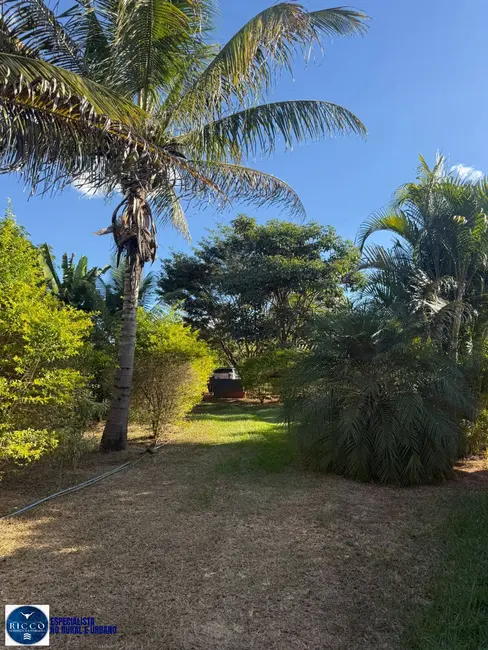 Foto 4 de Chácara com 2 quartos à venda, 5000m2 em Caldazinha - GO