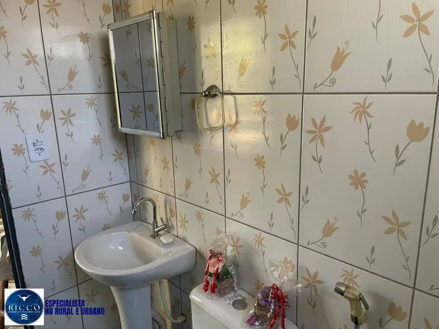 Foto 7 de Chácara com 2 quartos à venda, 5000m2 em Caldazinha - GO