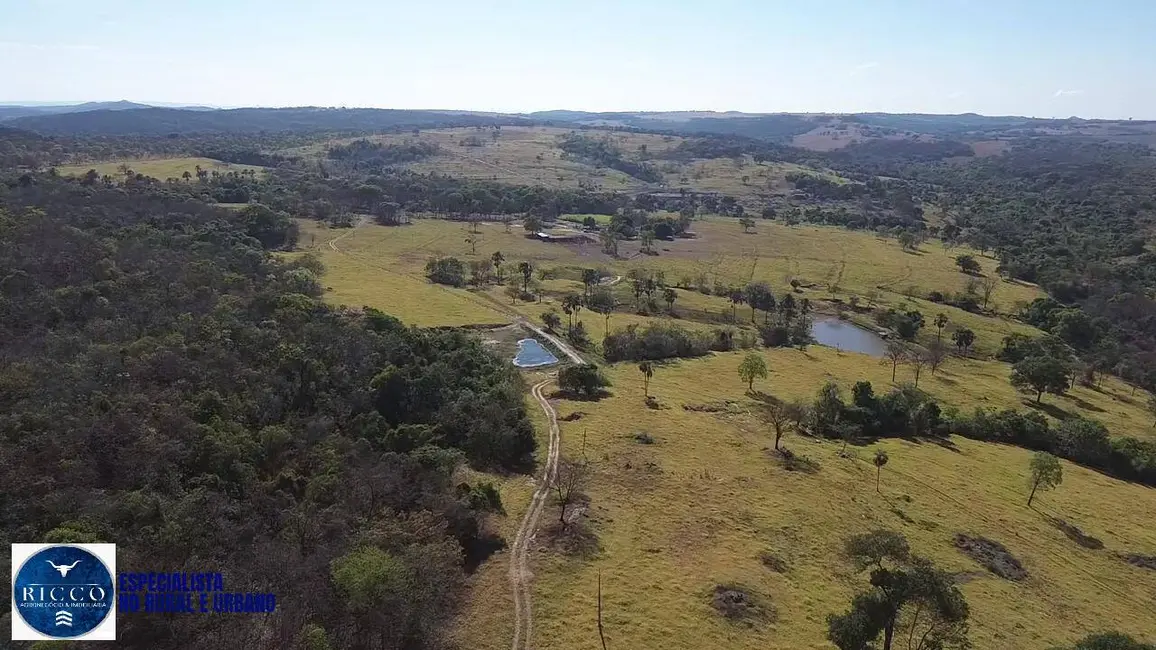 Foto 2 de Fazenda / Haras à venda, 47m2 em Indiara - GO