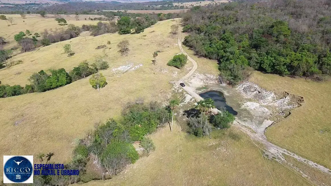 Foto 8 de Fazenda / Haras à venda, 47m2 em Indiara - GO