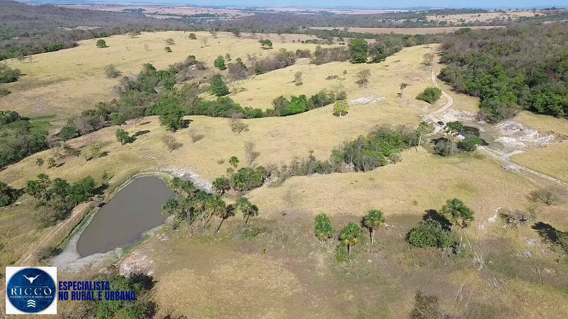 Foto 6 de Fazenda / Haras à venda, 47m2 em Indiara - GO
