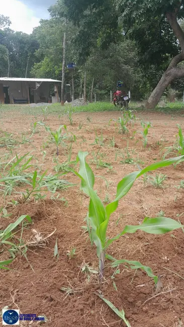 Foto 7 de Chácara com 1 quarto à venda, 5000m2 em Hidrolandia - GO