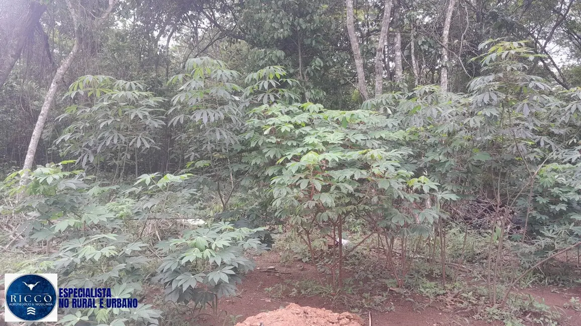 Foto 6 de Chácara com 1 quarto à venda, 5000m2 em Hidrolandia - GO