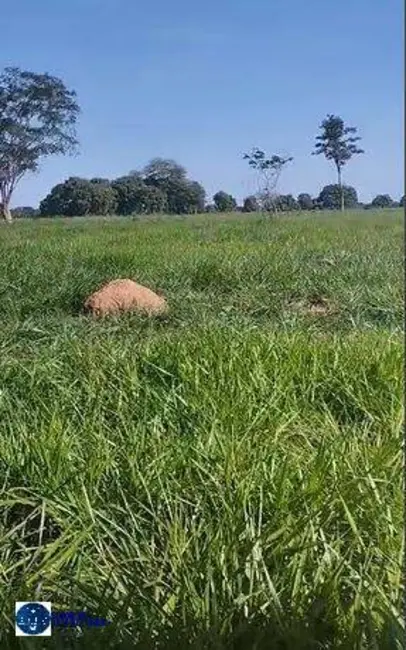 Foto 2 de Fazenda / Haras à venda, 171m2 em Jussara - GO