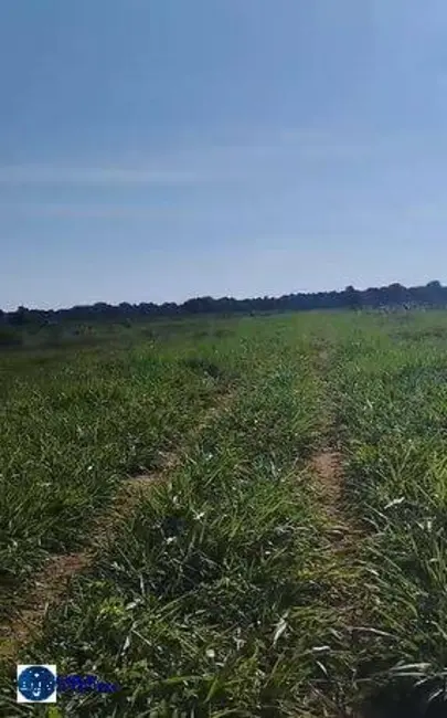 Foto 4 de Fazenda / Haras à venda, 171m2 em Jussara - GO