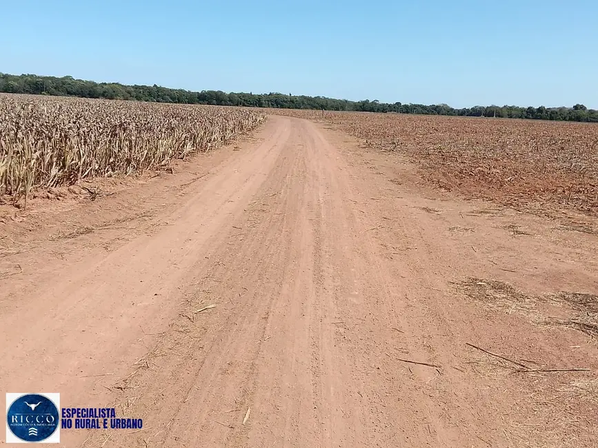 Foto 2 de Fazenda / Haras à venda, 600m2 em Pedro Afonso - TO