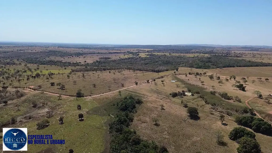 Foto 9 de Fazenda / Haras à venda, 80m2 em Bom Jardim De Goias - GO