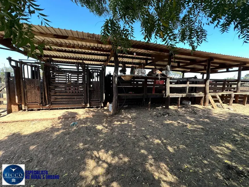 Foto 4 de Fazenda / Haras à venda, 120m2 em Bom Jardim De Goias - GO