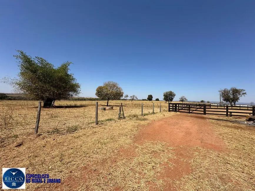 Foto 9 de Fazenda / Haras à venda, 120m2 em Bom Jardim De Goias - GO