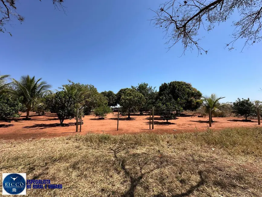 Foto 8 de Fazenda / Haras à venda, 120m2 em Bom Jardim De Goias - GO